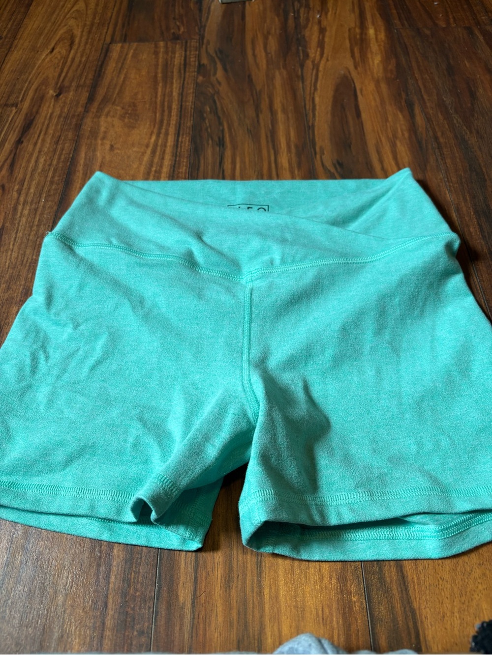 Fleo Women’s Athletic Shorts in Aqua Teal